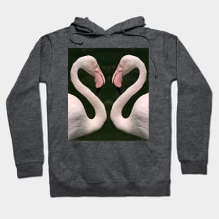 Love Birds Hoodie